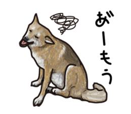 Everyday of cute dog sticker #12801677
