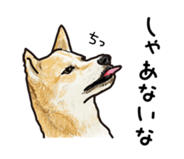 Everyday of cute dog sticker #12801678