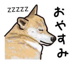 Everyday of cute dog sticker #12801682