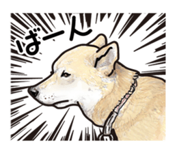 Everyday of cute dog sticker #12801684