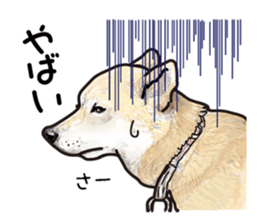 Everyday of cute dog sticker #12801685