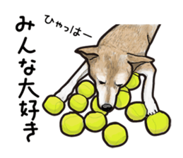 Everyday of cute dog sticker #12801686