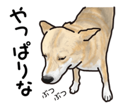 Everyday of cute dog sticker #12801689