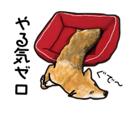 Everyday of cute dog sticker #12801690