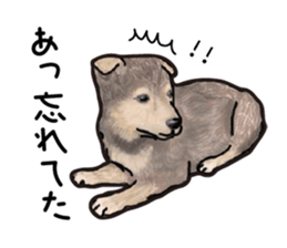 Everyday of cute dog sticker #12801691