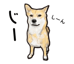 Everyday of cute dog sticker #12801692