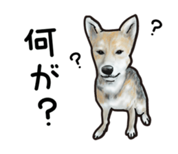 Everyday of cute dog sticker #12801693