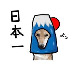 Everyday of cute dog sticker #12801698