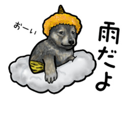 Everyday of cute dog sticker #12801699