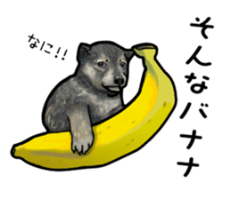 Everyday of cute dog sticker #12801700