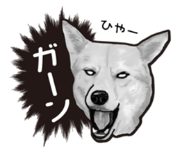 Everyday of cute dog sticker #12801701