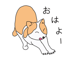 Pritty cat SORA sticker #12801868