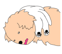 Pritty cat SORA sticker #12801879