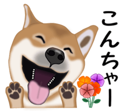 Ordinary Shiba Inu sticker #12809666