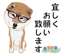 Ordinary Shiba Inu sticker #12809668