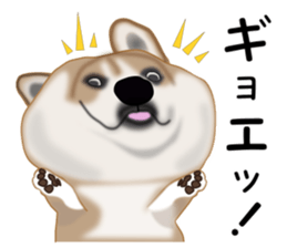Ordinary Shiba Inu sticker #12809697