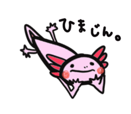 Axolotl`s Sticker sticker #12811375