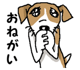 Jack dog 6 sticker #12812626