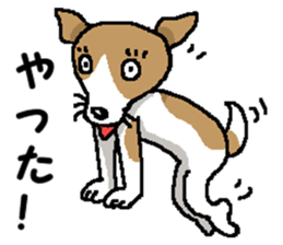 Jack dog 6 sticker #12812640