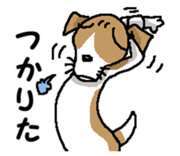 Jack dog 6 sticker #12812651