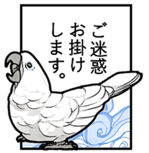 Mischievous parrot 2 sticker #12817211