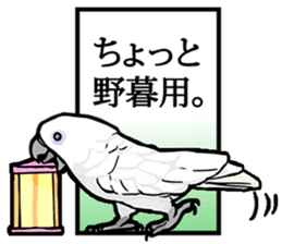 Mischievous parrot 2 sticker #12817216