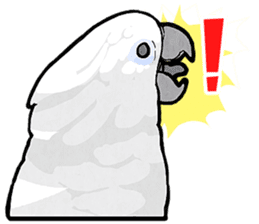 Mischievous parrot 2 sticker #12817233