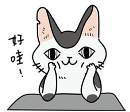 Meow Meow Meow Meow sticker #12823134