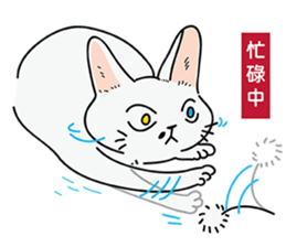 Meow Meow Meow Meow sticker #12823147