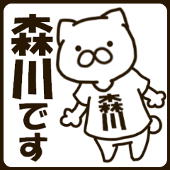 MORIKAWA-cat