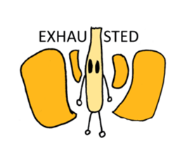 Vegetable Mates sticker #12824103