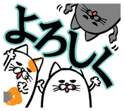 More!Marumaru-busuneko!6 sticker #12824143