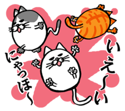 More!Marumaru-busuneko!6 sticker #12824148