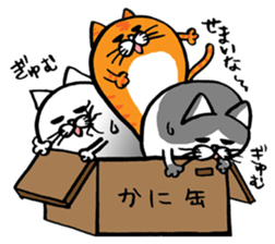 More!Marumaru-busuneko!6 sticker #12824157