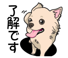 Wanko-Biyori Chihuahua sticker #12824246