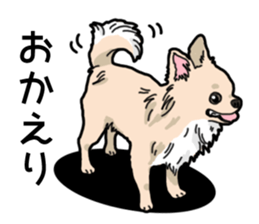 Wanko-Biyori Chihuahua sticker #12824251