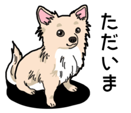 Wanko-Biyori Chihuahua sticker #12824252