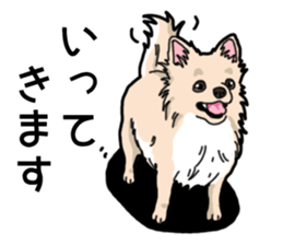 Wanko-Biyori Chihuahua sticker #12824253