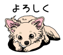 Wanko-Biyori Chihuahua sticker #12824255