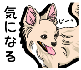 Wanko-Biyori Chihuahua sticker #12824260