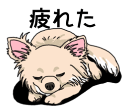 Wanko-Biyori Chihuahua sticker #12824262