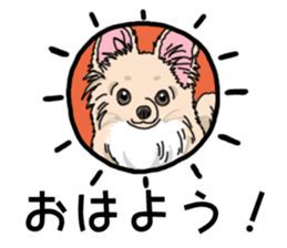 Wanko-Biyori Chihuahua sticker #12824266