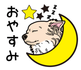 Wanko-Biyori Chihuahua sticker #12824267