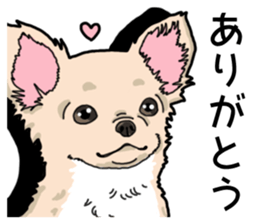 Wanko-Biyori Chihuahua sticker #12824268