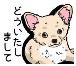 Wanko-Biyori Chihuahua sticker #12824269