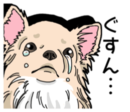 Wanko-Biyori Chihuahua sticker #12824273