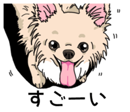 Wanko-Biyori Chihuahua sticker #12824274