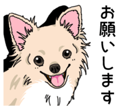 Wanko-Biyori Chihuahua sticker #12824275