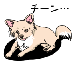 Wanko-Biyori Chihuahua sticker #12824276