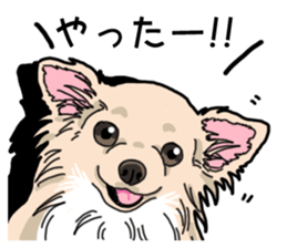 Wanko-Biyori Chihuahua sticker #12824278